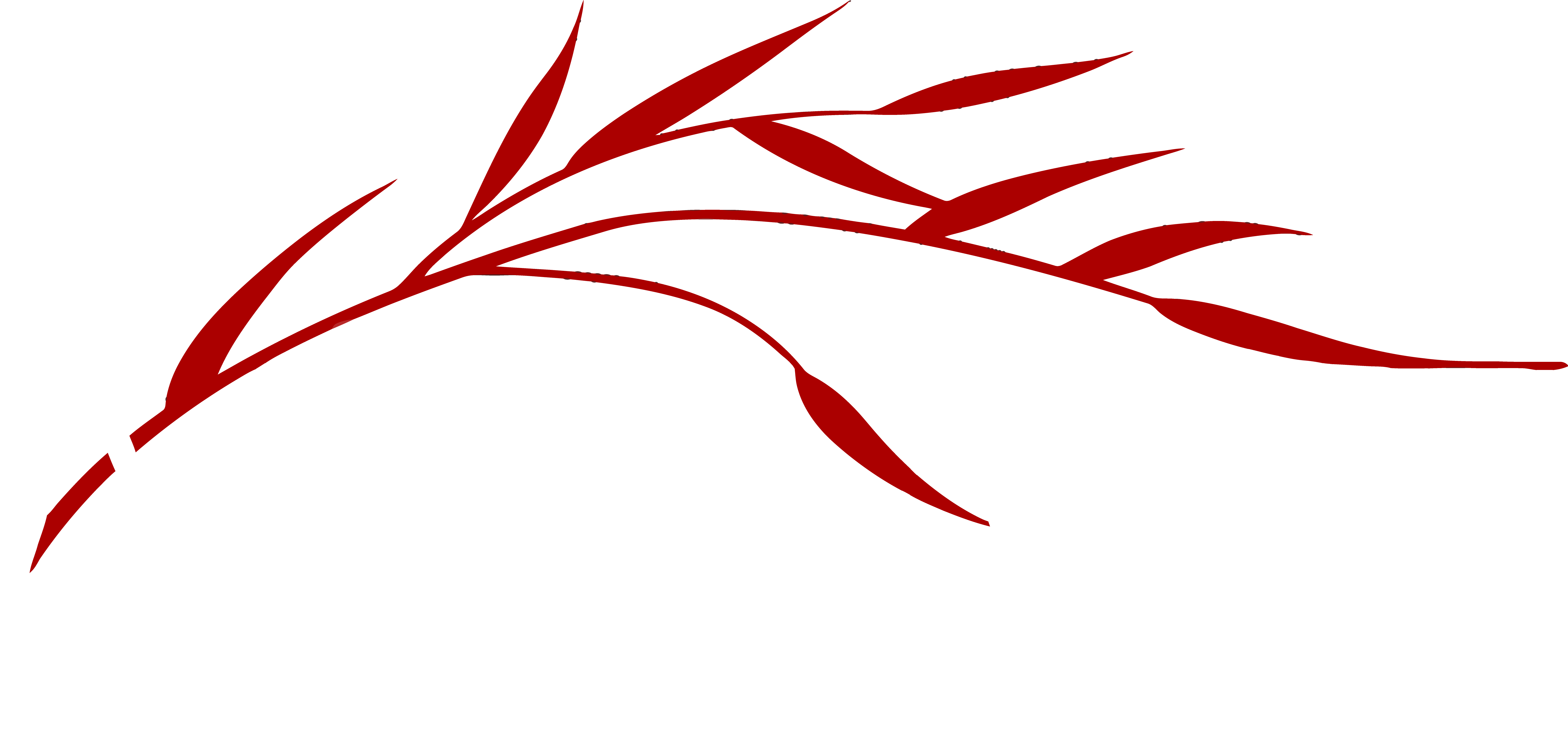 A Day Away Salon & Spa
